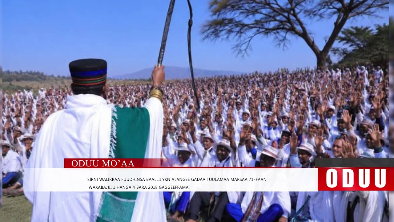 Mo'aa: Oduu Wiixata Galgalaa (Waxabajjii 8 . 2026) Finfinnee