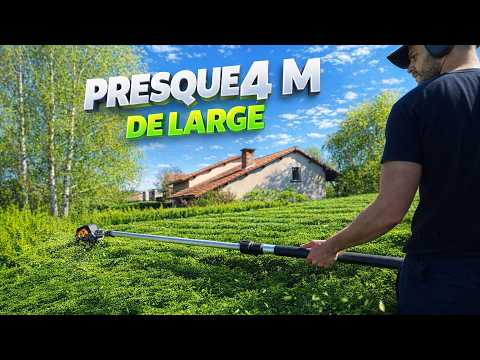Cette haie faisait presque 4 mètres de large… personne ne voulait y toucher