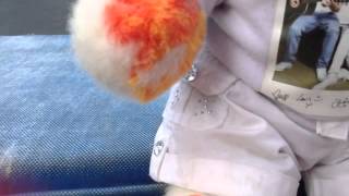 Charlie's Fun in the garden #3 -FriendShipAlive