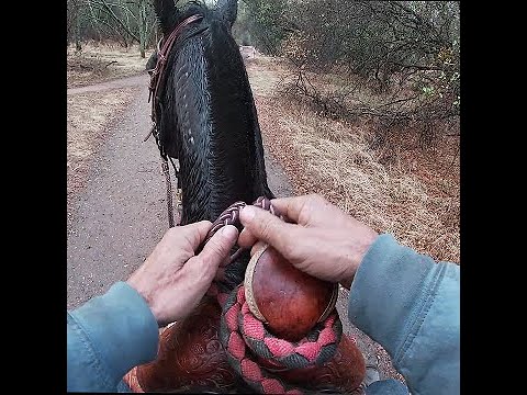 Your Hands On The Reins - Solving Barn Sour and Charging Through The Bit, Mike Hughes, Auburn Ca.