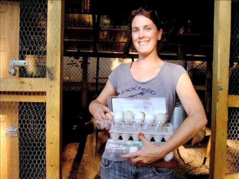 download lagu mp3 mp4 Best Csa In Brooklyn, download lagu Best Csa In Brooklyn gratis, unduh video klip Best Csa In Brooklyn