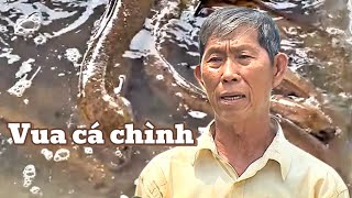 Raising eels in earthen ponds earns billions of dong each year