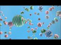 60fps TVB Jade Station ID 20s 2023 Present