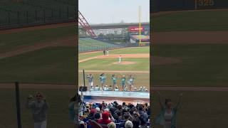 【TeamTaiwan】 #卉妮 #侯芳 #瑄 #璇璇 #ABY #台灣尚勇 #冬季聯盟@洲際棒球場 20241214 #台湾チア #cheerdance #cpbl #teamtaiwan #啦啦隊