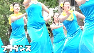女子大生のフラダンス