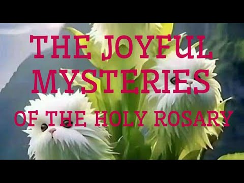 24 February 2024 ( SATURDAY) THE JOYFUL MYSTERIES OF THE HOLY ROSARY