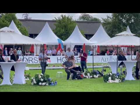 Stutfohlen v. Follow Him's Schönweide - Diamond Hit (Deutsches Fohlenchampionat 2023)