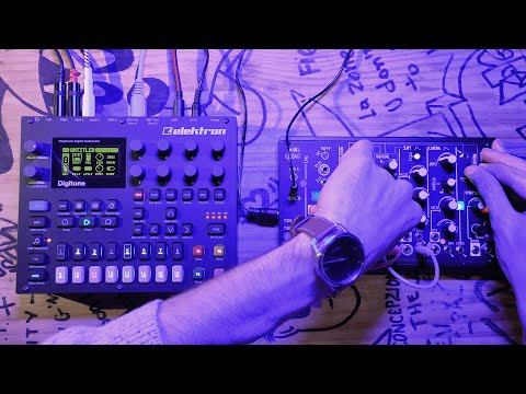 Something in the Woods