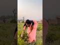 Viralsong Dance Radheshyam Hindisong Song Jai Teriyaad Religion