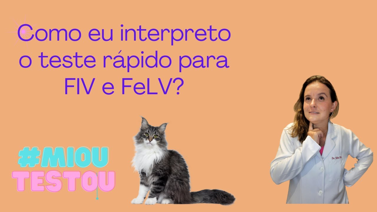 Como interpretar o teste rápido para FIV e FeLV