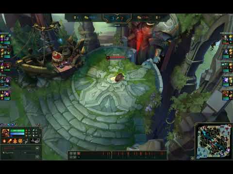 Brand Support vs Neeko Support...