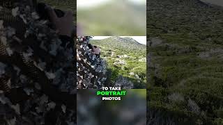 The Ultimate Wildlife Photography Hack The Secret to Perfect Animal Portraits