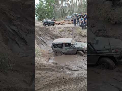 Mercedes Wolf im Loch 2.10.23 Peckfitz