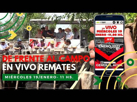 REMATE - NÉSTOR HUGO FUENTES S.A. - GENERAL ACHA -  MIÉRCOLES 19  / ENERO  / 2021 - AVISO PROMO -