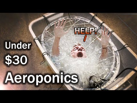 Easy DIY D.W.C. Aeroponic Hybrid Hydroponic Setup under $30
