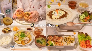 【 食費月一万円 】一人暮らし社会人の節約を楽しむお弁当とおうちごはん🍚 / 作り置きミニパン👩‍🍳🥐 / 10月生活費公開📔