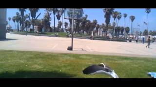 'A Summertime State of Mind'