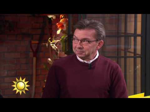 Julkalendern blev storvinst på Triss - Nyhetsmorgon (TV4)