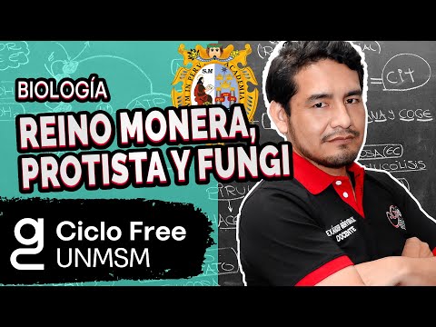 BIOLOGÍA - Reino Monera, Protista y Fungi [CICLO FREE]