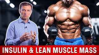Insulin & Lean Muscle Mass – Insulin Resistance and Muscle Gain Connection – Dr. Berg