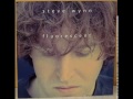 Steve Wynn - Dead Roses