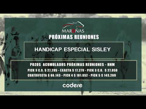 CARRERAS MARONAS 07/12/25 | EN VIVO | URUGUAY