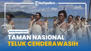 Pesona Wisata Taman Nasional Teluk Cenderawasih, Wisatawan Dapat Menyelam & Berenang Bersama Hiu Pau