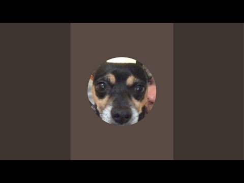 GayStonersReview is live!