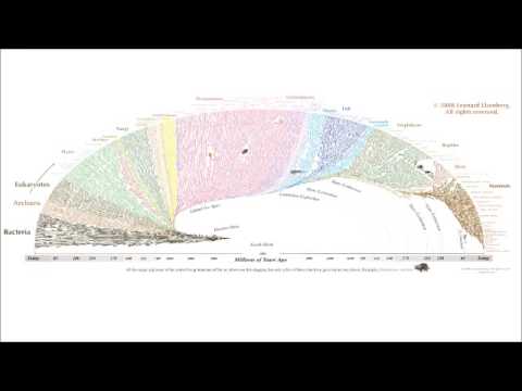 Lookingglass In the Garden preshow lecture