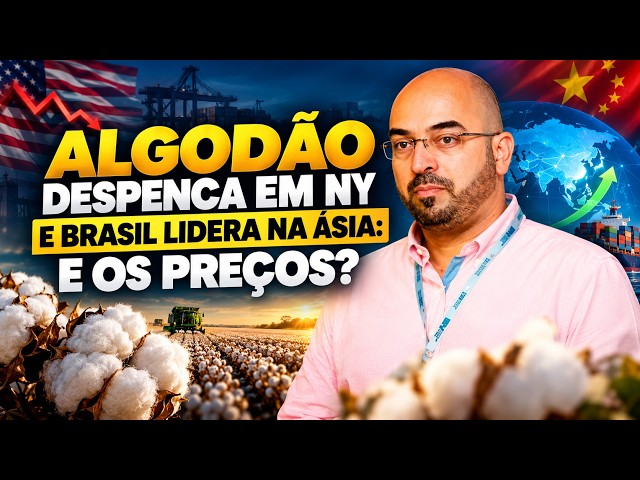 Algodão Despenca em NY e Brasil Lidera na Ásia: E os Preços?