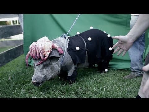Adventurezator : When Pigs Fly PC
