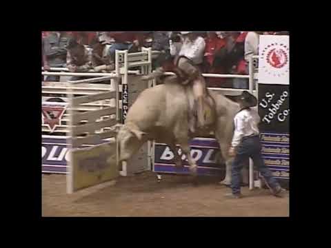 Promise Land bucks Aaron Semas - 99 PBR Ft. Worth