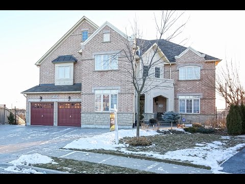 16 Radial Street, Brampton, Team Alliance Realty Inc.
