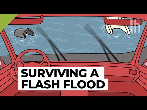 Everything You Need to Know During a Flash Flood