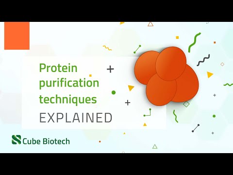 Protein Purification