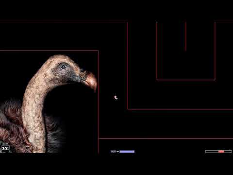 Kradie's Big ZaR RR 146 Walkthrough [Big Rope Race]