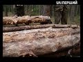 thumbnail text