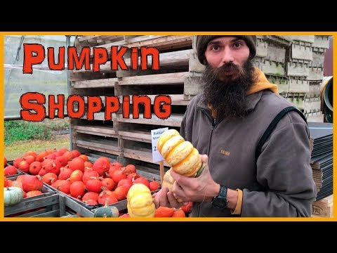 download lagu mp3 mp4 Hokkaido Pumpkin Where To Buy, download lagu Hokkaido Pumpkin Where To Buy gratis, unduh video klip Hokkaido Pumpkin Where To Buy