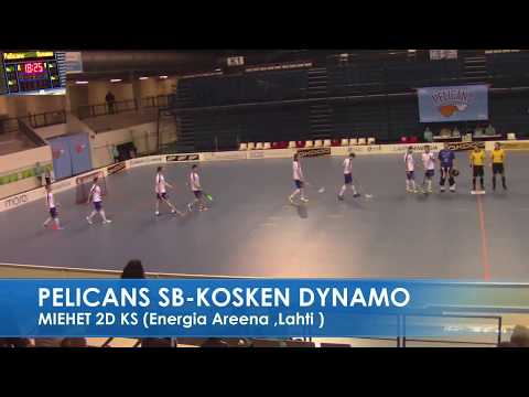 PELICANS SB-KOSKEN DYNAMO