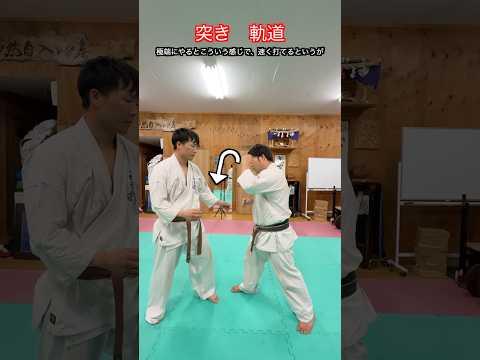 【武道・格闘技】突き・パンチの軌道の正しい軌道と考え方！解説！！　#aikido ＃karate #martial #武道 #空手＃合気道＃筋トレ#selfdefens