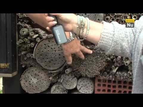 Vacht en Veren aflevering 18: De Bijenboederij