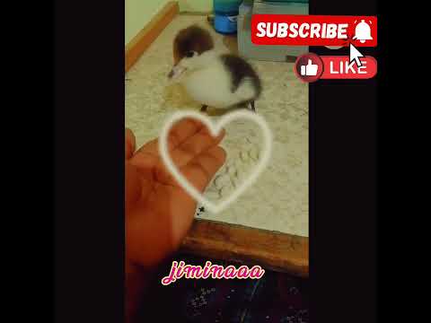 #jiminaaaaa #viral #instagram #facebook #bts #army #followme