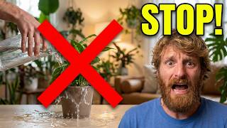 7 Step Guide to Keep ANY House Plant Alive
