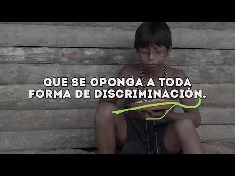 #QueridaAmazonia: El sueño social del Papa