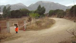 preview picture of video 'Rally costa smeralda 2008'