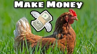 How To Make *MONEY* Raising Chickens!