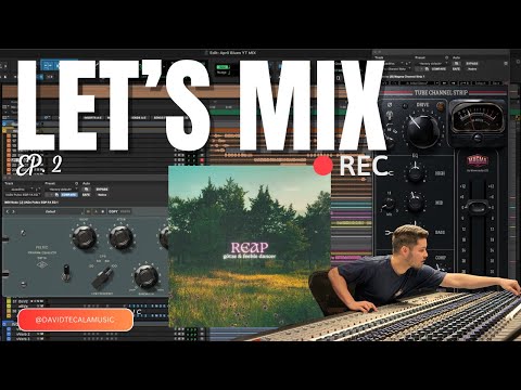 LET'S MIX - 'REAP' by gotze & feeble dancer - [ALTERNATIVE]