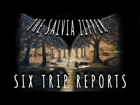 THE SALVIA ZIPPER: 6 Trip Reports (audio w/some visuals)