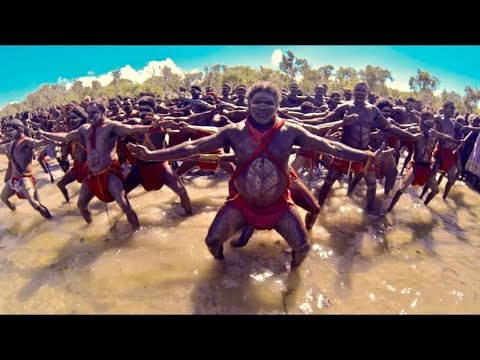 Walgara (Herring) - Numbulwar Mardayin
