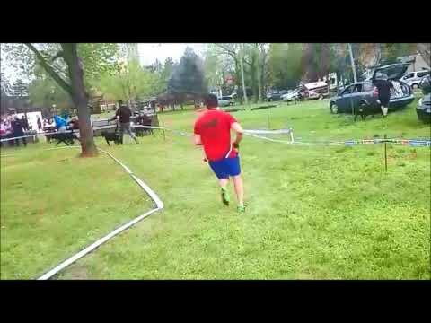 Ch Gero King of the East EURO BANAT CUP WINNER 2018